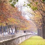 Địa điểm chụp ảnh đẹp nhất Hà Nội, đường Kim Mã