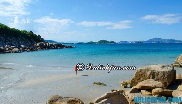Bãi nước ngọt Bình Hưng - kinh nghiệm du lịch đảo Bình Hưng tự túc, chi tiết: nơi chụp ảnh đẹp nhất ở đảo Bình Hưng