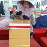 Hướng dẫn mang hải sản tươi sống lên máy bay thuận lợi: làm sao để mang hải sản lên máy bay