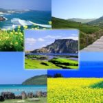 Kinh nghiệm du lịch đảo Jeju