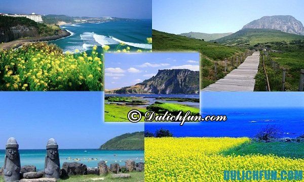 Kinh nghiệm du lịch đảo Jeju