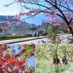 Du lịch Sapa mùa nào đẹp nhất?