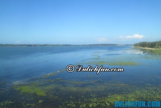 Tour du lịch biển Sa Huỳnh giá rẻ đầy đủ: Những địa điểm tham quan nổi tiếng ở Sa Huỳnh - Kinh nghiệm du lịch biển Sa Huỳnh