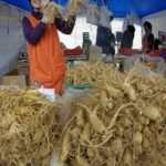 Chợ sâm Bujeon, địa điểm mua nhân sâm giá rẻ, chất lượng ở Hàn Quốc
