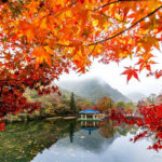 Nhà hàng nổi tiếng tại Hàn Quốc