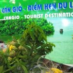 Kinh nghiệm du lịch Cần Giờ