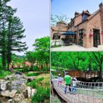 Du lịch Hàn Quốc mùa hè nên đi đâu?