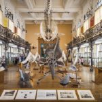 Đi đâu, chơi gì khi du lịch Monaco? Bảo tàng Hải Dương học, địa điểm tham quan, du lịch nổi tiếng ở Monaco