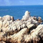 Thời điểm thích hợp nhất để tới Ulsan/Mùa du lịch UlSan. Kinh nghiệm du lịch Ulsan