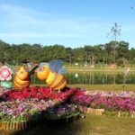 Hướng dẫn du lịch Đà Lạt vui vẻ, thú vị. Chia sẻ kinh nghiệm du lịch Đà Lạt và gợi ý lịch trình 2 ngày 1 đêm.