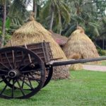 Kinh nghiệm đi du lịch Bình Quới