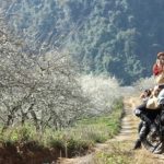 Du lịch Mộc Châu nên đi mấy ngày? Gợi ý chi tiết lịch trình du lịch Mộc Châu 3 ngày 2 đêm từ Hà Nội