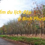 du lịch Bình Phước nên đi đâu? những điểm du lịch đẹp ở Bình Phước nổi tiếng