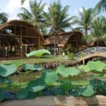 Du lịch gần Sài Gòn nên đi đâu? Điểm du lịch nổi tiếng gần Sài Gòn