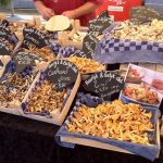 Du lịch Utrecht điểm đến đẹp nhất Hà Lan. Tại sao nên du lịch Utrecht? Những điểm đến đẹp nhất ở Utrecht, Hà Lan nổi tiếng.