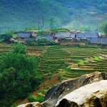 Kinh nghiệm đi bản Tả Văn, Sapa đường đi, homestay. Bản Tả Van ở Sapa có gì hay? Ở đâu, đường đi, hình ảnh, giá vé, nhận xét...