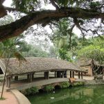 Kinh nghiệm du lịch chùa Thầy đường đi, xe bus. Hướng dẫn, cẩm nang du lịch chùa Thầy điểm tham quan, lưu ý, xe bus đi qua...