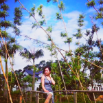 Kinh nghiệm đi Vườn Vua Resort, Phú Thọ giá phòng, đường đi. Hướng dẫn du lịch Vườn Vua Resort, Phú Thọ cụ thể, chi tiết, tự túc.