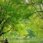 Top công viên đẹp nhất ở Hà Nội kèm địa chỉ và giá vé. Nên đi công viên nào ở Hà Nội đẹp, không khí sạch, đặc biệt nên tới.