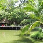 Kinh nghiệm đi khu du lịch Sinh thái Bình Mỹ (Củ Chi). Hướng dẫn, cẩm nang du lịch Bình Mỹ, Củ Chi an toàn cụ thể đường đi, giá vé