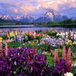 Địa điểm du lịch nổi tiếng ở Trung Quốc mùa xuân: Du lịch mùa xuân ở đâu Trung Quốc đẹp nhất?