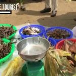 Kinh nghiệm phượt biển Cồn Bửng (Thạnh Phú) rẻ, đẹp. Hướng dẫn, cẩm nang du lịch biển Thạnh Phú, Bến Tre đường đi, thời điểm.