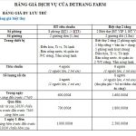 Bảng giá dịch vụ nhà nghỉ, khách sạn ở Detrang Farm Ba Vì: Kinh nghiệm đi chơi ở nông trại Dê Trắng