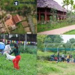 Địa chỉ những nông trại giáo dục đẹp và nổi tiếng ở Hà Nội: Hà Nội có trang trại giáo dục nào?