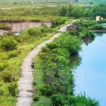 Hướng dẫn du lịch vườn quốc gia Xuân Thủy từ A tới Z. Hướng dẫn, cẩm nang, phượt vườn quốc gia Xuân Thủy đường đi, giá vé...