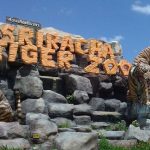 Giá vé các điểm tham quan nổi tiếng ở Thái Lan cập nhật. Bảng giá vé tham quan ở Thái Lan cụ thể, chi tiết, cập nhật, mới nhất.