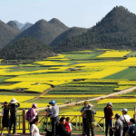 Kinh nghiệm du lịch Vân Nam bằng đường bộ đẹp và tiết kiệm. Hướng dẫn cẩm nang phượt Vân Nam cụ thể đường đi ăn uống, cảnh đẹp.