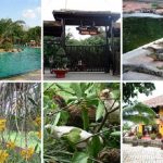 Trải nghiệm khu du lịch sinh thái Vườn Xoài, Nam Hồng. Hướng dẫn đi khu du lịch Vườn Xoài, Đông Anh đường đi, giá vé, câu cá...