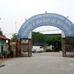 Review đi khu du lịch sinh thái Cánh Buồm Xanh, Gia Lâm. Hướng dẫn, cẩm nang du lịch khu sinh thái Cánh Buồm Xanh 1 ngày thú vị.