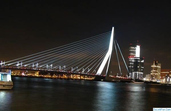 Kinh nghiệm du lịch Rotterdam chi tiết: Địa điểm tham quan đẹp ở Rotterdam