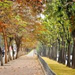 Du lịch Hà Nội mùa Thu nên đi đâu đẹp, đậm chất. Mùa Thu Hà Nội có gì hay? Các điểm tham quan đẹp, nổi tiếng, đặc trưng thu Hà Nội