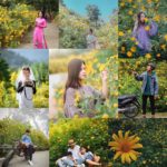 Kinh nghiệm du lịch Ba Vì: gợi ý lịch trình 2 ngày 1 đêm: Du lịch vườn quốc gia Ba Vì 2 ngày 1 đêm cần chuẩn bị những gì?