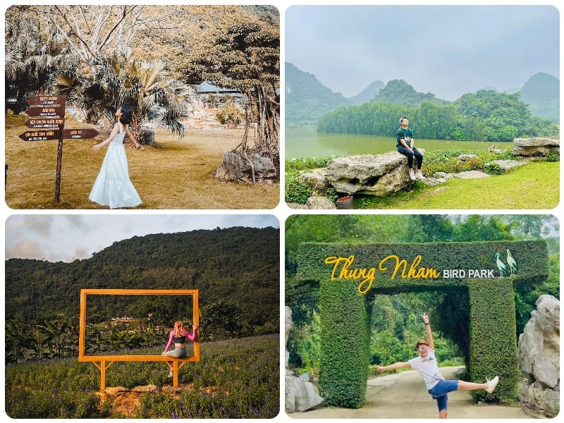 Địa điểm du lịch đẹp ở Ninh Bình, vườn chim Thung Nham