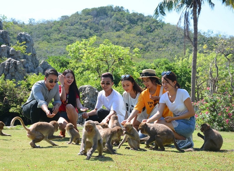 Địa điểm du lịch ở Nha Trang, đảo Khỉ Nha Trang
