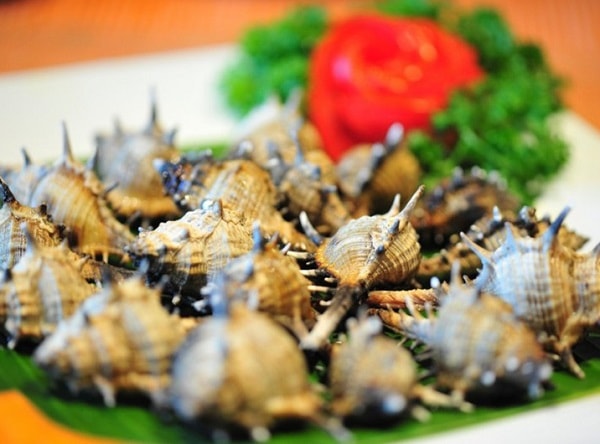 Ốc gai xương rồng, những món ăn ngon ở Phú Quốc