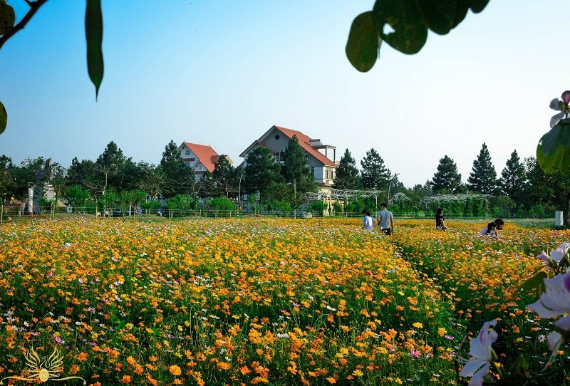 Địa điểm du lịch gần Hà Nội, khu sinh thái Phoenix Garden Đan Phượng