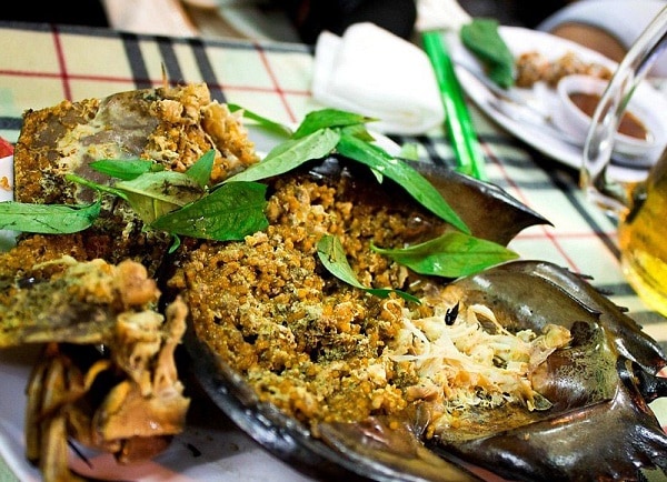 Món ăn đặc sản Quảng Ninh, sam biển