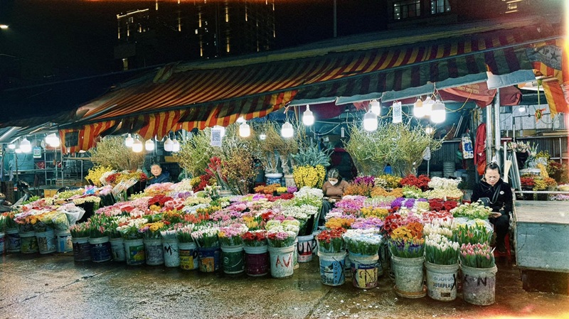 Chợ hoa tết ở Hà Nội. Chợ hoa tết nổi tiếng ở Hà Nội