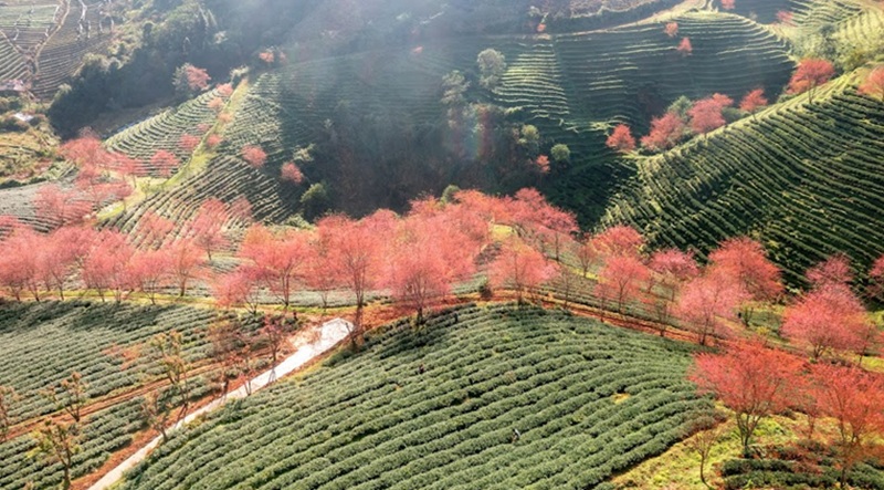 Địa điểm du lịch tết Nguyên Đán ở Miền Bắc. Địa điểm du lịch tết đẹp ở miền Bắc