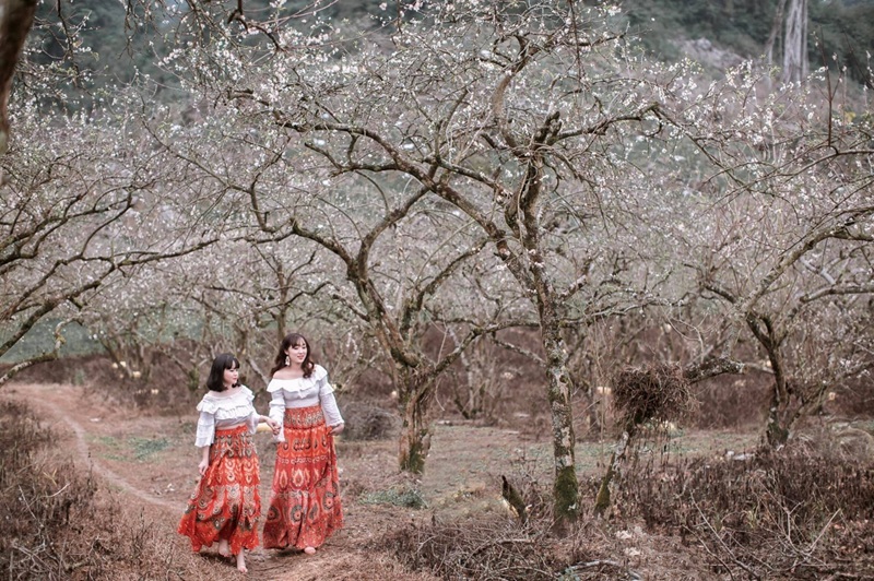 Địa điểm du lịch tết nguyên đán ở miền Bắc. Ở miền Bắc nên đi chơi tết ở đâu