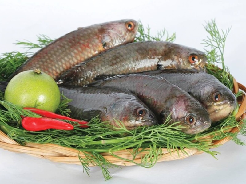 Món ăn ngon ở Ninh Bình. Món ăn nổi tiếng Ninh Bình