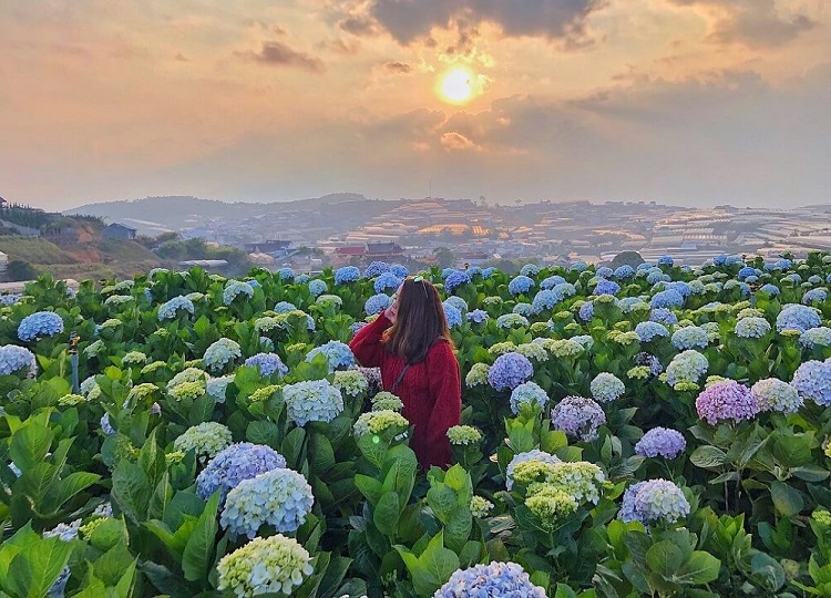 Địa điểm du lịch một mình hấp dẫn nhất. Đà Lạt