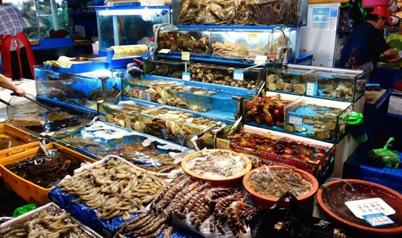 Chợ truyền thống ở Phú Quốc. Chợ cá truyền thống ở Phú Quốc