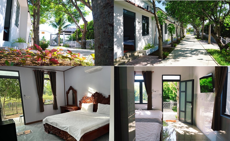 Khách sạn giá rẻ ven biển Ninh Chữ. Hải An Homestay