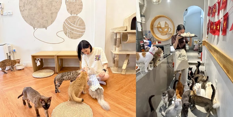Địa điểm đi chơi một mình ở Hà Nội. Địa điểm đi chơi một mình lý tưởng ở Hà Nội