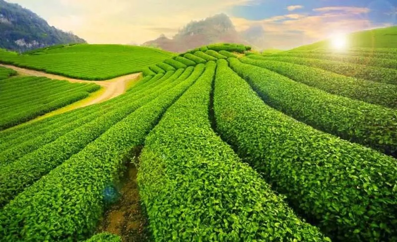 Địa điểm du lịch gần Hà Nội dịp 2/9. Địa điểm du lịch gần Hà Nội nổi tiếng dịp 2/9